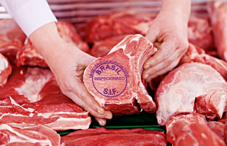 Exportação de Carne Bovina: Oportunidades para o Brasil no Mercado Internacional