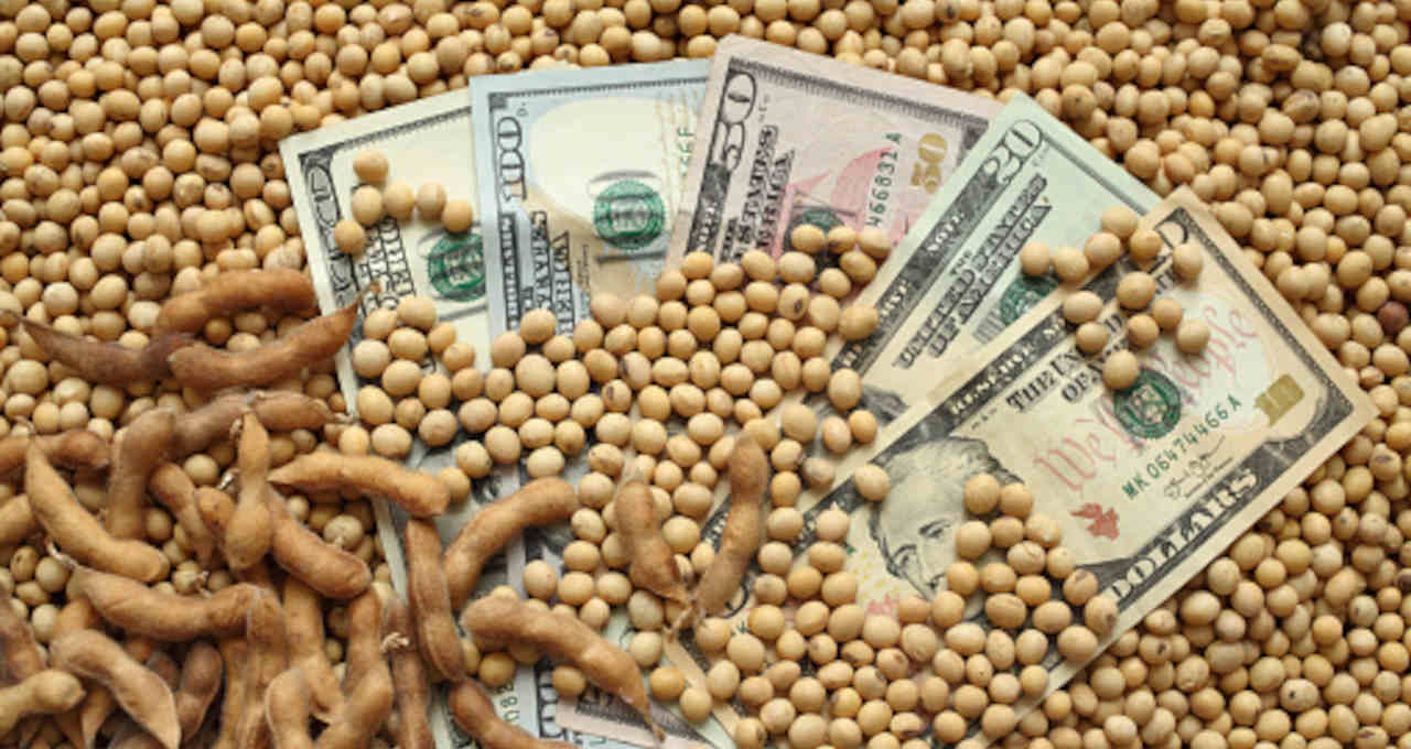 Negociação de Commodities Agrícolas: Como Obter os Melhores Preços para seus Produtos